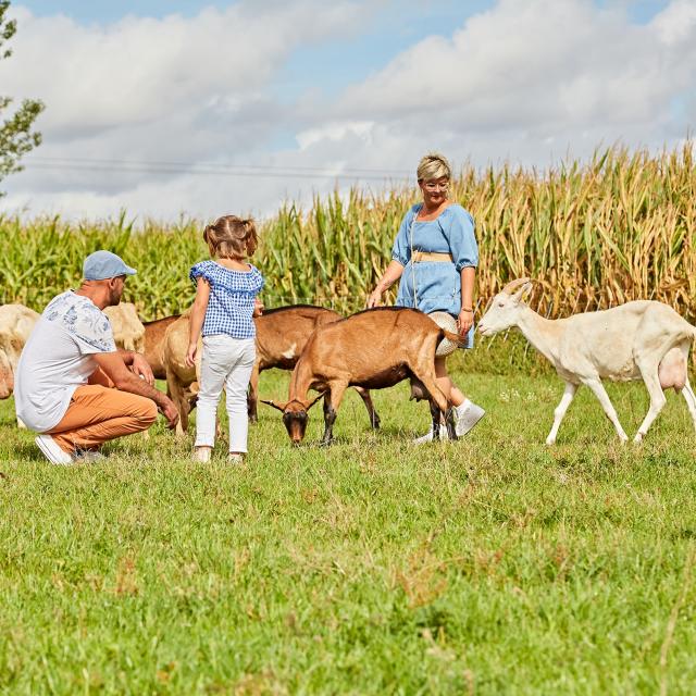Visite à la ferme